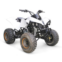 LOS NIÑOS DE 50CC MINI DUNE BUGGY CON MARCHA ATRÁS DISPONIBLE HX110C